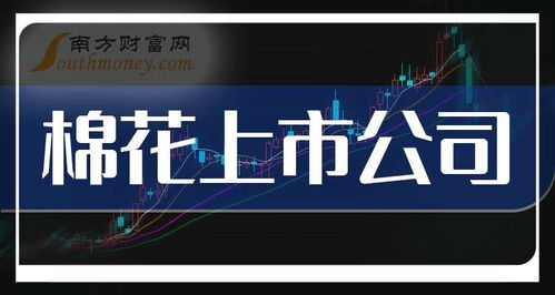 2025年棉花产业链及软件开发上市公司龙头股解析