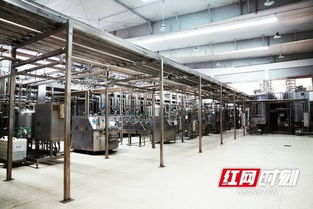 优氏乳业 以“宁乡智造”技术服务，助力国家学生饮用奶计划，引领健康食品产业创新