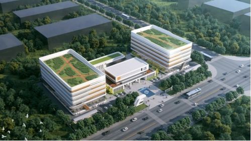 三十年专注，匠心铸就生物科技新篇章——广西博生生物抗体与功能蛋白的研发与应用服务